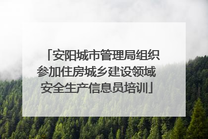安阳城市管理局组织参加住房城乡建设领域安全生产信息员培训