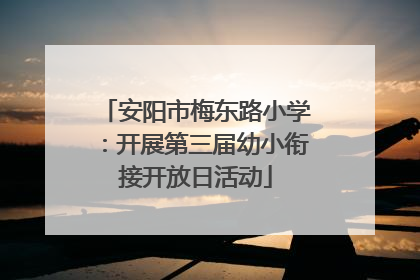 安阳市梅东路小学：开展第三届幼小衔接开放日活动