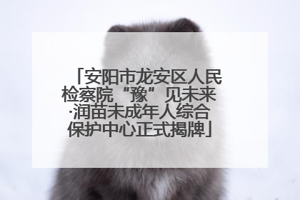 安阳市龙安区人民检察院“豫”见未来·润苗未成年人综合保护中心正式揭牌