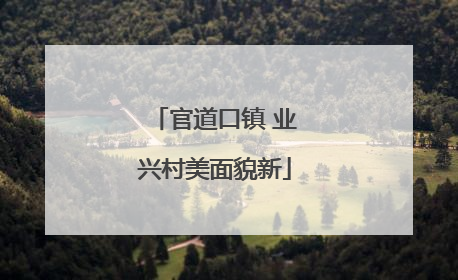 官道口镇 业兴村美面貌新
