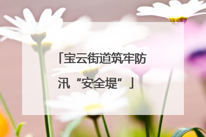 宝云街道筑牢防汛“安全堤”