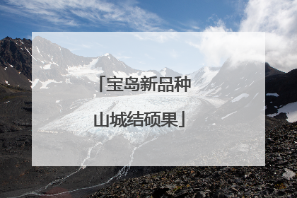 宝岛新品种 山城结硕果