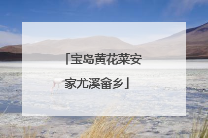 宝岛黄花菜安家尤溪畲乡