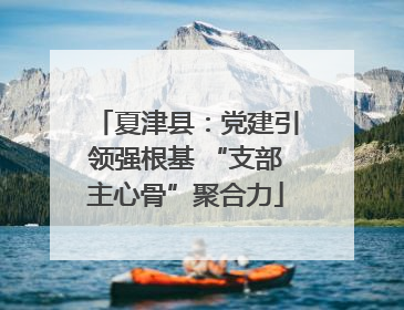 夏津县：党建引领强根基 “支部主心骨”聚合力