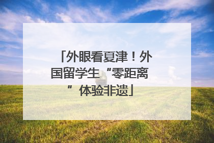 外眼看夏津！外国留学生“零距离”体验非遗
