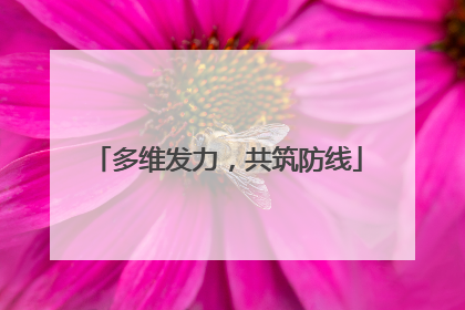 多维发力，共筑防线
