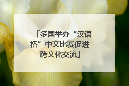 多国举办“汉语桥”中文比赛促进跨文化交流