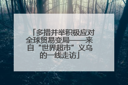 多措并举积极应对全球贸易变局——来自“世界超市”义乌的一线走访