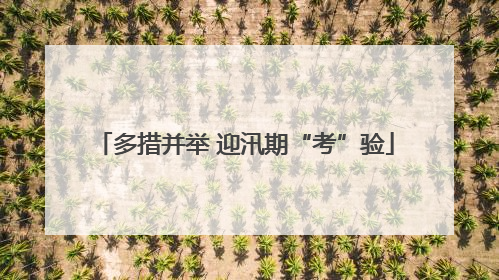 多措并举 迎汛期“考”验