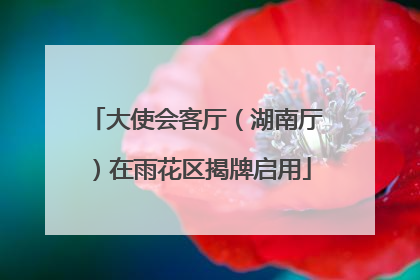 大使会客厅（湖南厅）在雨花区揭牌启用