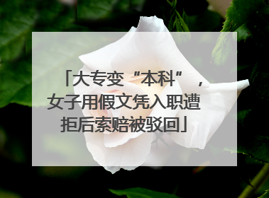 大专变“本科”，女子用假文凭入职遭拒后索赔被驳回