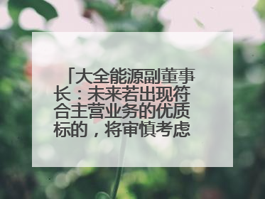 大全能源副董事长：未来若出现符合主营业务的优质标的，将审慎考虑并购机会