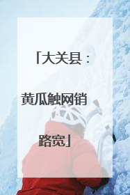 大关县：黄瓜触网销路宽
