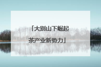 大别山下崛起茶产业新势力