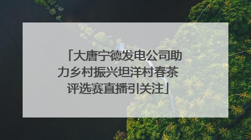 大唐宁德发电公司助力乡村振兴坦洋村春茶评选赛直播引关注