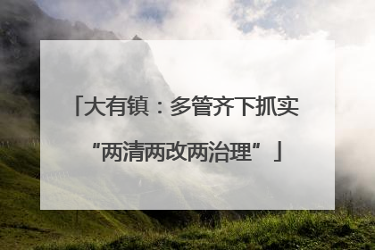 大有镇：多管齐下抓实“两清两改两治理”