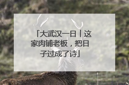 大武汉一日︱这家肉铺老板，把日子过成了诗