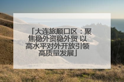 大连旅顺口区：聚焦稳外资稳外贸 以高水平对外开放引领高质量发展