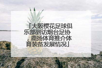 大阪樱花足球俱乐部到访烟台足协，鹿扬体育推介体育装备发展情况