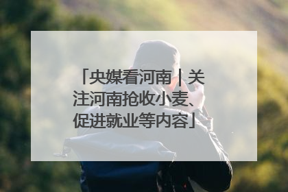 央媒看河南|关注河南抢收小麦、促进就业等内容