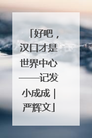 好吧，汉口才是世界中心——记发小成成｜严辉文