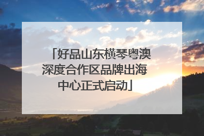 好品山东横琴粤澳深度合作区品牌出海中心正式启动