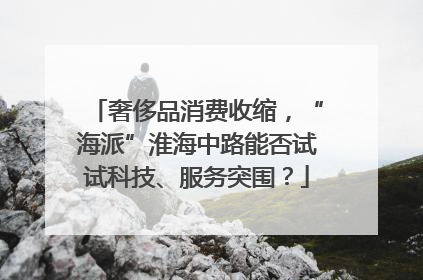 奢侈品消费收缩，“海派”淮海中路能否试试科技、服务突围？