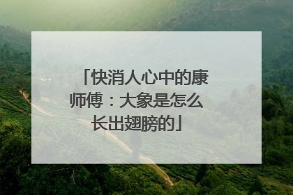 快消人心中的康师傅：大象是怎么长出翅膀的