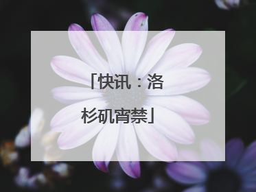 快讯：洛杉矶宵禁