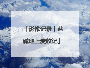 影像记录丨盐碱地上麦收记