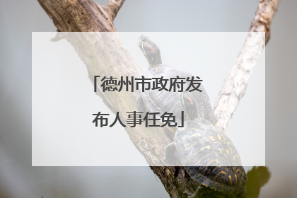 德州市政府发布人事任免