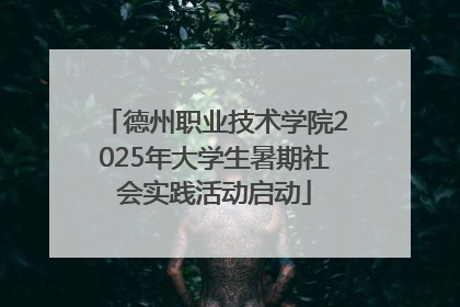 德州职业技术学院2025年大学生暑期社会实践活动启动