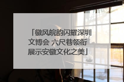 徽风皖韵闪耀深圳文博会 六尺巷领衔展示安徽文化之美