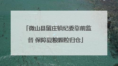 微山县留庄镇纪委靠前监督 保障夏粮颗粒归仓
