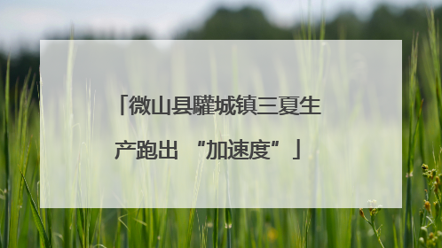 微山县驩城镇三夏生产跑出 “加速度”