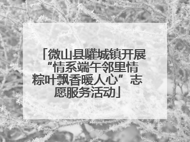 微山县驩城镇开展“情系端午邻里情 粽叶飘香暖人心”志愿服务活动