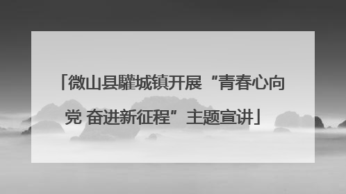 微山县驩城镇开展“青春心向党 奋进新征程”主题宣讲
