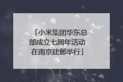 小米集团华东总部成立七周年活动在南京建邺举行