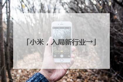 小米，入局新行业→
