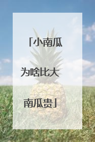 小南瓜为啥比大南瓜贵