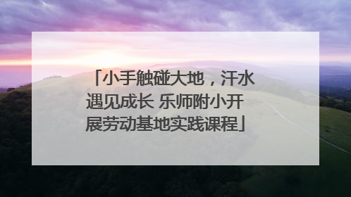 小手触碰大地，汗水遇见成长 乐师附小开展劳动基地实践课程