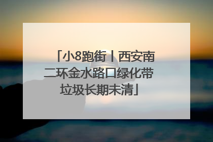 小8跑街丨西安南二环金水路口绿化带垃圾长期未清