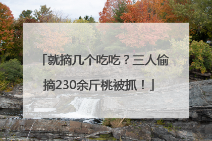 就摘几个吃吃？三人偷摘230余斤桃被抓！