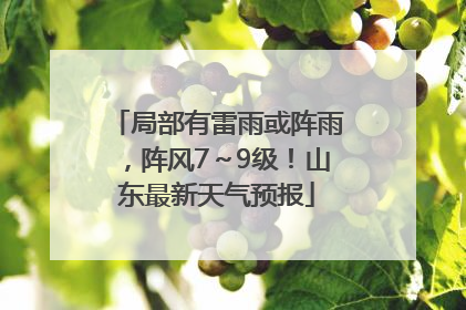 局部有雷雨或阵雨，阵风7～9级！山东最新天气预报