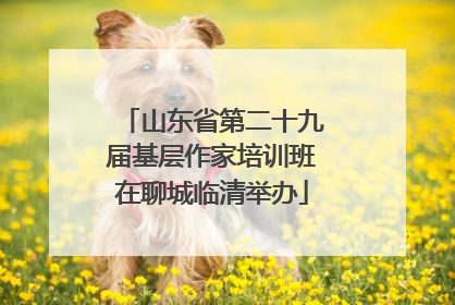 山东省第二十九届基层作家培训班在聊城临清举办