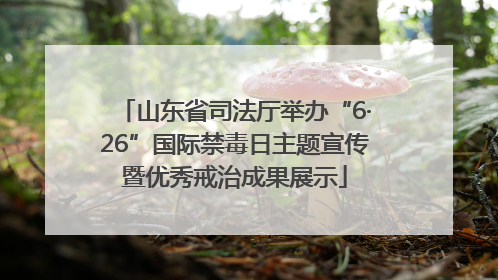 山东省司法厅举办“6·26”国际禁毒日主题宣传暨优秀戒治成果展示
