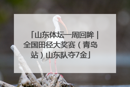 山东体坛一周回眸｜全国田径大奖赛（青岛站）山东队夺7金