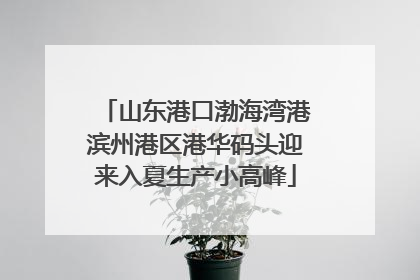山东港口渤海湾港滨州港区港华码头迎来入夏生产小高峰