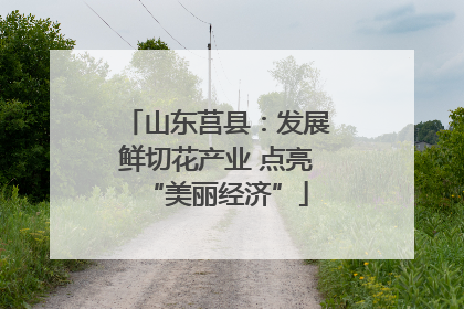 山东莒县：发展鲜切花产业 点亮“美丽经济”