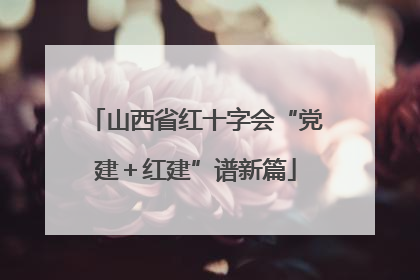 山西省红十字会“党建＋红建”谱新篇